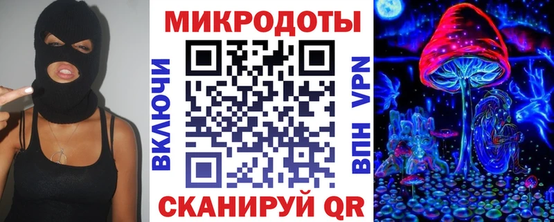 Галлюциногенные грибы Psilocybine cubensis  Светлогорск 