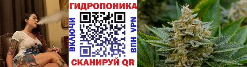 купить наркоту  Светлогорск  Марихуана VHQ 